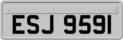 ESJ9591