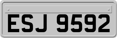 ESJ9592