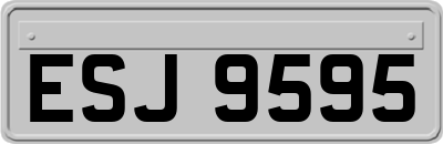 ESJ9595