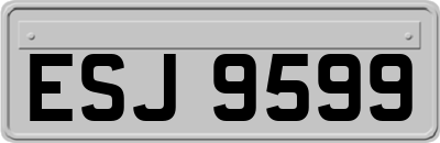 ESJ9599