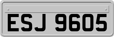 ESJ9605