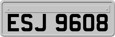 ESJ9608