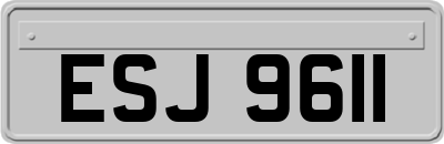 ESJ9611