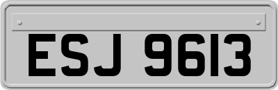 ESJ9613
