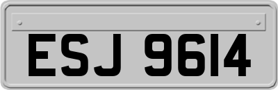 ESJ9614