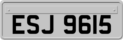 ESJ9615