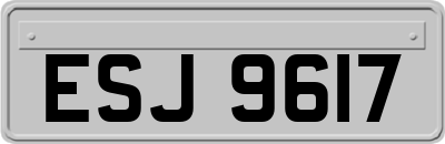ESJ9617