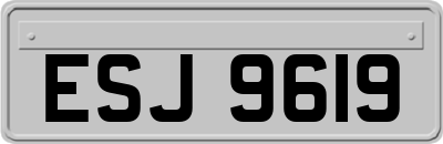 ESJ9619