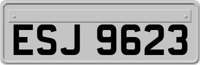 ESJ9623