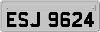 ESJ9624