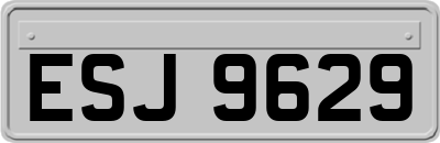 ESJ9629