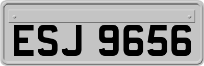 ESJ9656