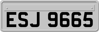 ESJ9665