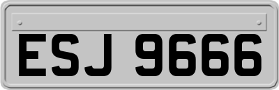 ESJ9666