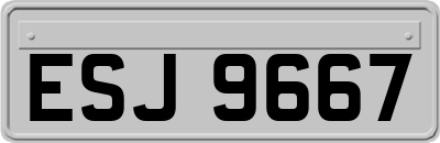 ESJ9667