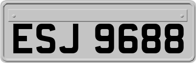ESJ9688