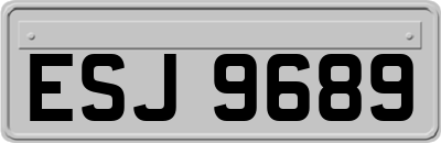 ESJ9689