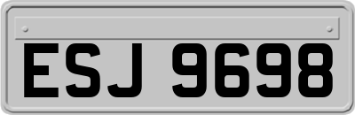 ESJ9698