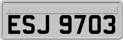ESJ9703
