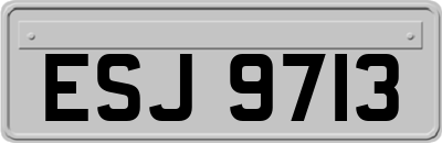 ESJ9713