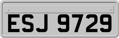 ESJ9729