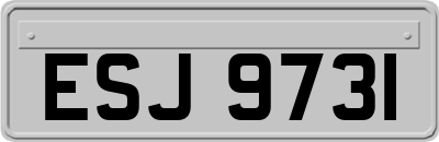 ESJ9731