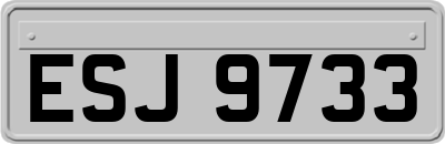 ESJ9733