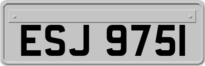 ESJ9751