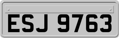 ESJ9763