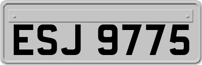 ESJ9775