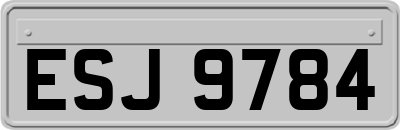 ESJ9784