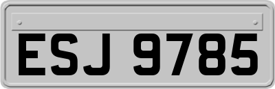 ESJ9785
