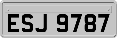 ESJ9787