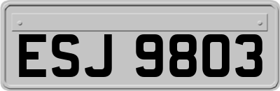 ESJ9803