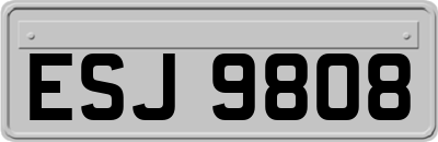 ESJ9808