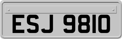 ESJ9810
