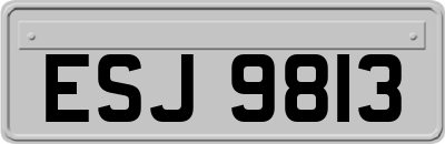 ESJ9813