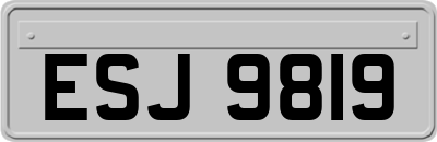 ESJ9819