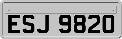 ESJ9820
