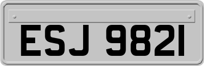 ESJ9821