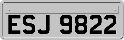 ESJ9822