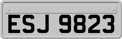 ESJ9823