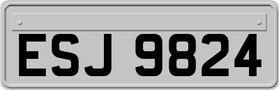 ESJ9824