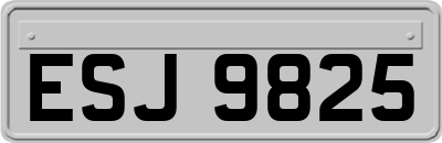 ESJ9825