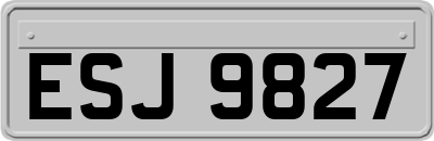 ESJ9827