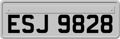 ESJ9828