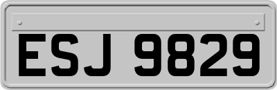 ESJ9829