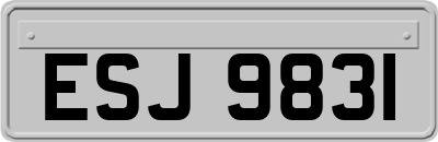 ESJ9831