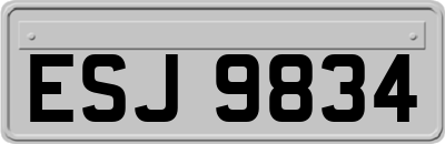 ESJ9834