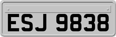 ESJ9838